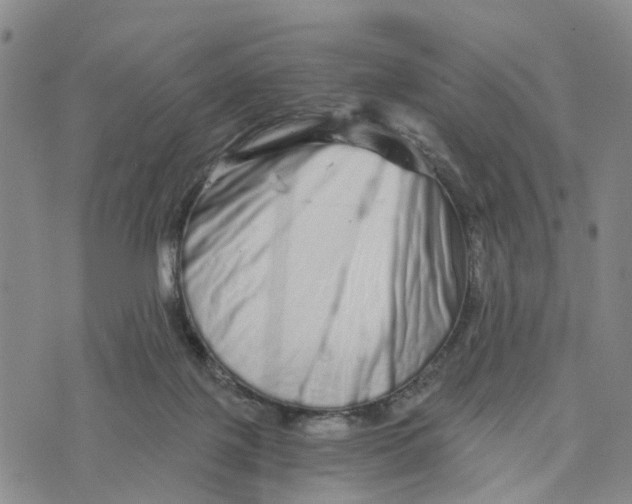 X0000073700075200608311740