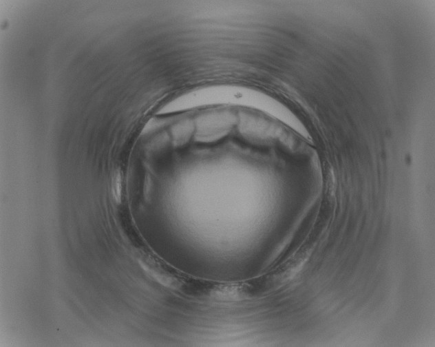 X0000073700076200608311740