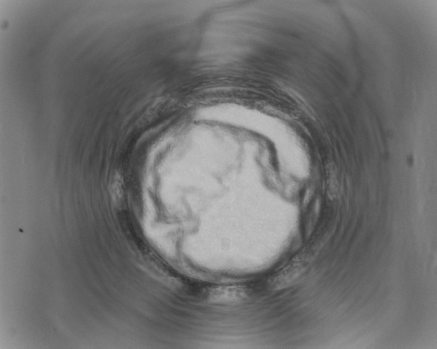 X0000073700077200608311740