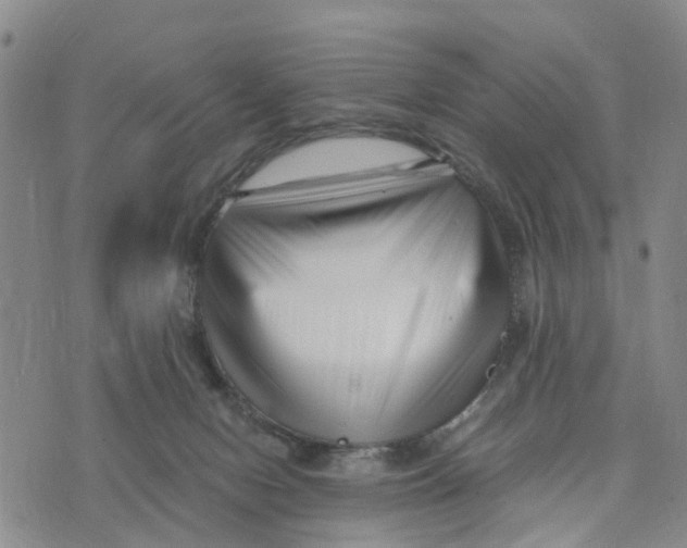 X0000073700078200608311740