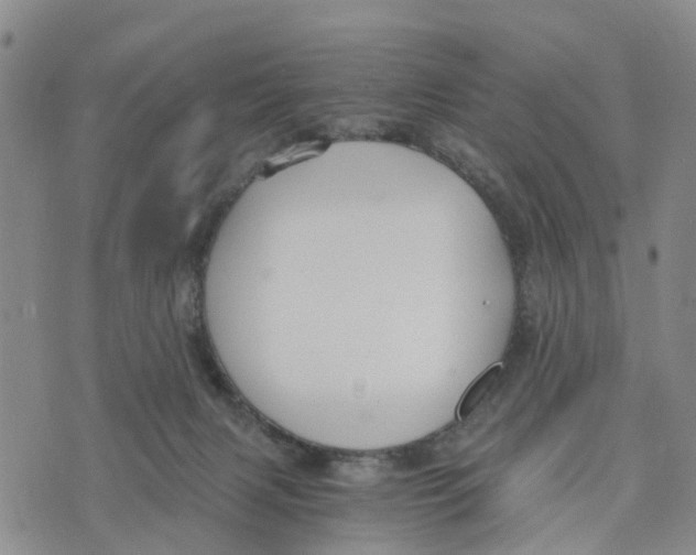 X0000073700079200608311740