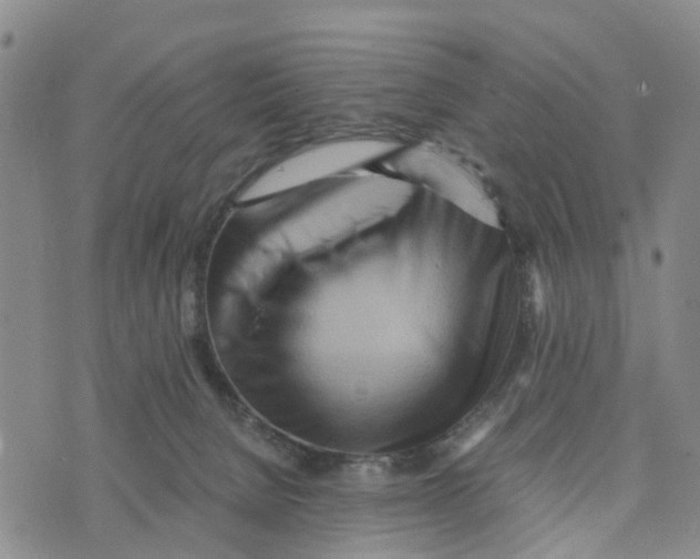 X0000073700080200608311740