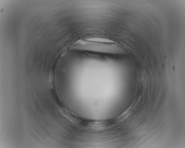 X0000073700082200608311740