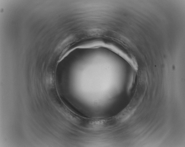 X0000073700084200608311740