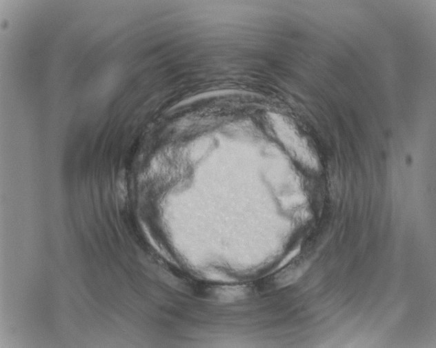 X0000073700085200608311740