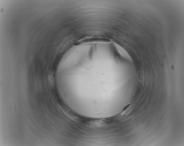 X0000073700086200608311740