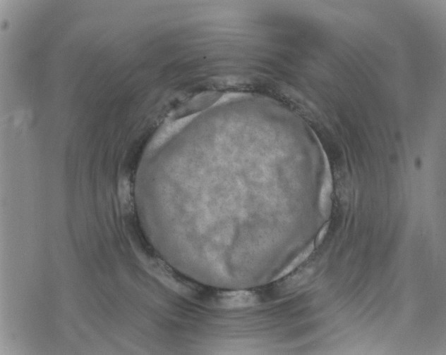 X0000073700087200608311740