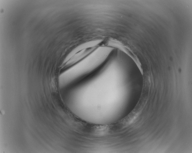 X0000073700088200608311740