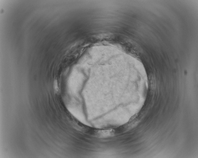 X0000073700089200608311740