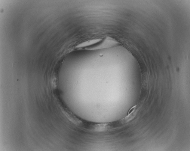 X0000073700090200608311740