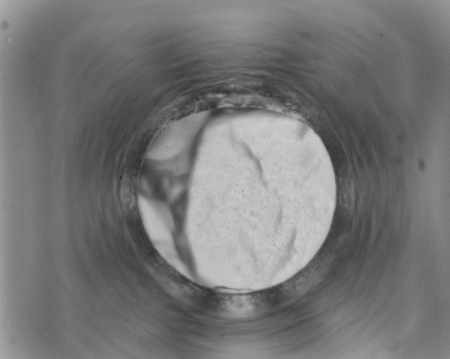 X0000073700091200608311740