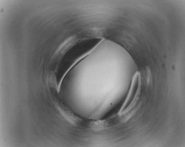 X0000073700092200608311740