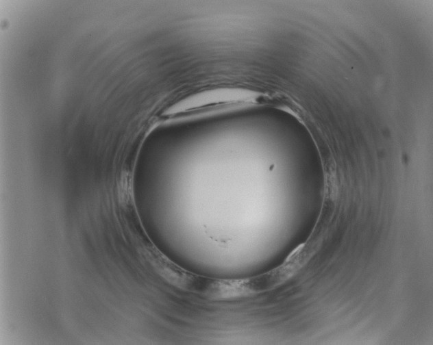 X0000073700093200608311740