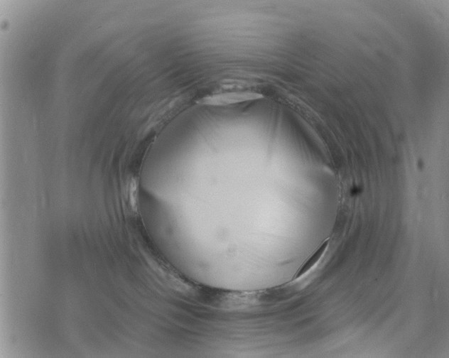 X0000073700094200608311740