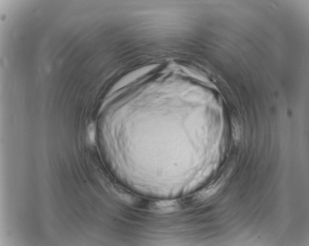 X0000073700095200608311740