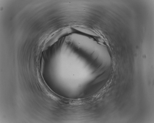 X0000073700097200608311740