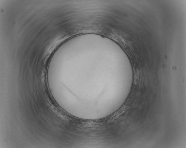 X0000073700098200608311740