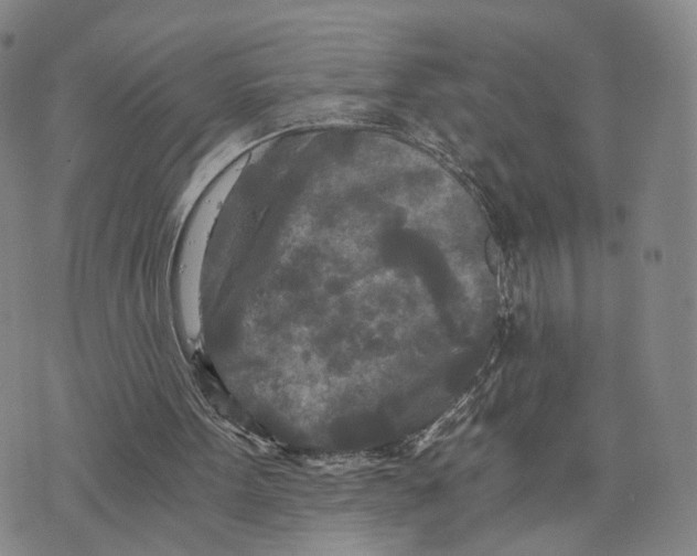 X0000073700099200608311740