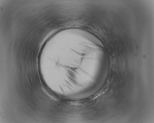 X0000073700100200608311740