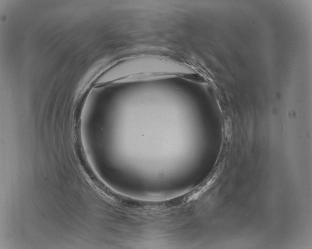 X0000073700101200608311740