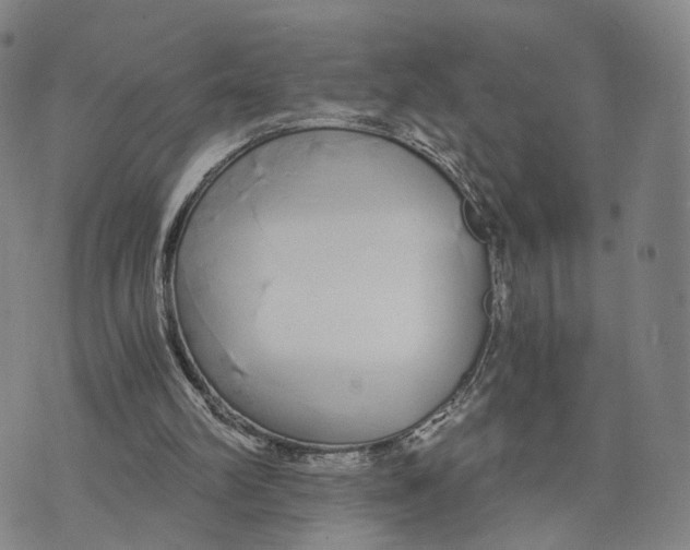 X0000073700102200608311740