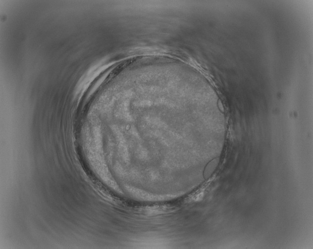 X0000073700103200608311740