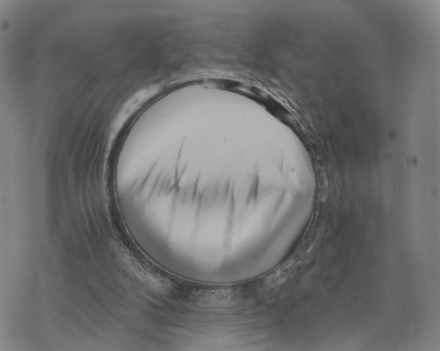 X0000073700104200608311739