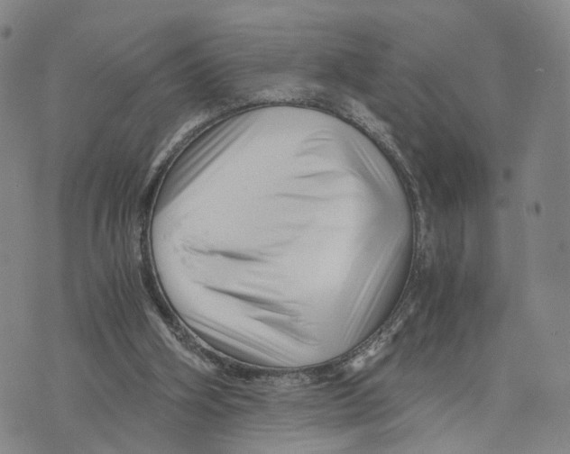 X0000073700106200608311739