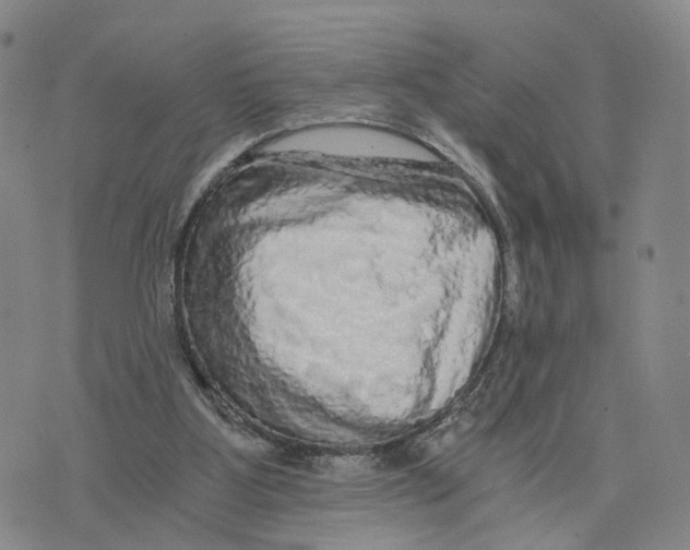 X0000073700107200608311739