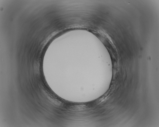 X0000073700108200608311739