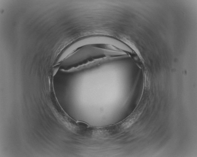 X0000073700109200608311739