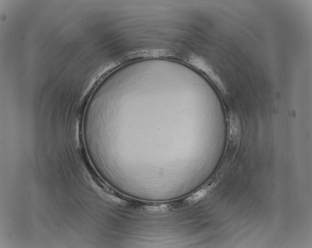 X0000073700110200608311739