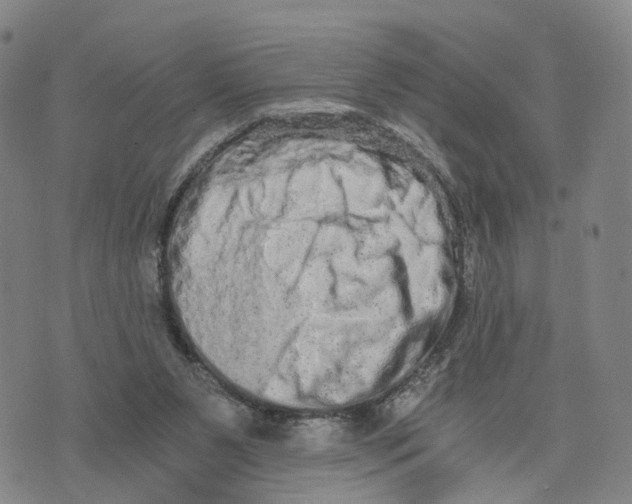 X0000073700111200608311739