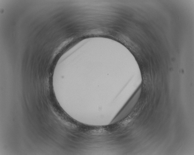 X0000073700112200608311739