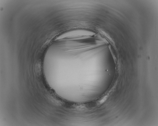 X0000073700113200608311739