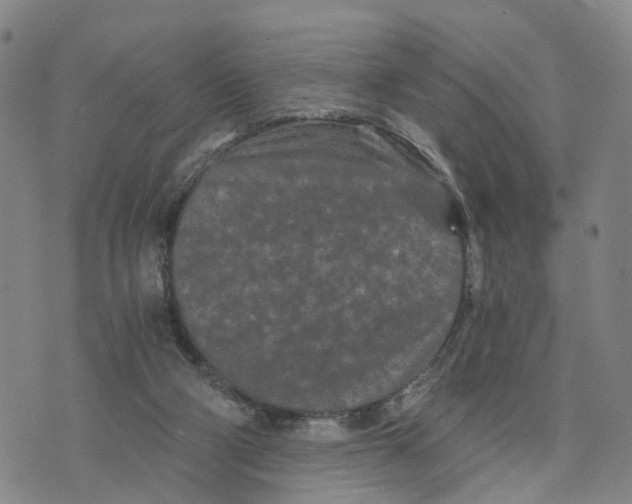 X0000073700114200608311739