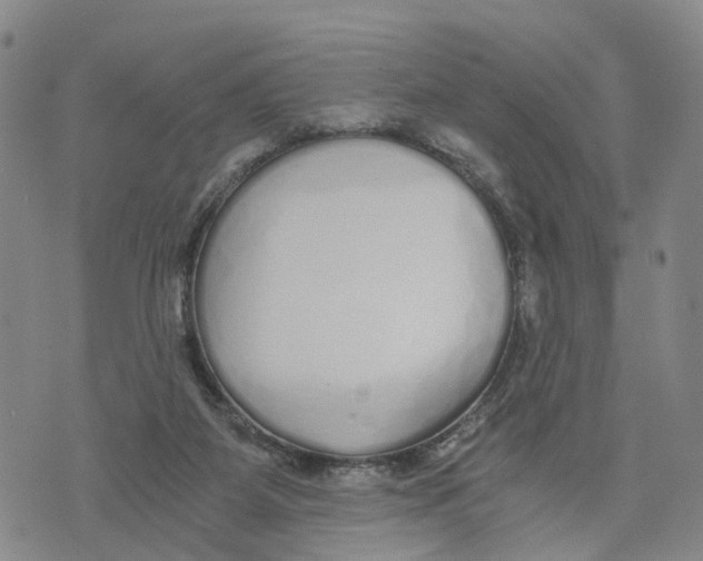 X0000073700115200608311739