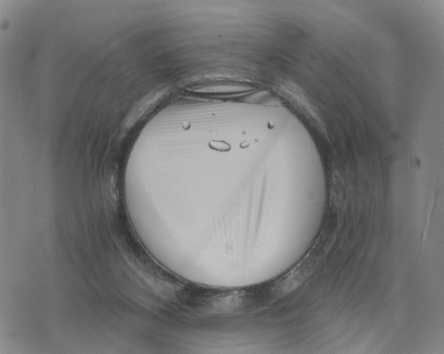 X0000073700116200608311739