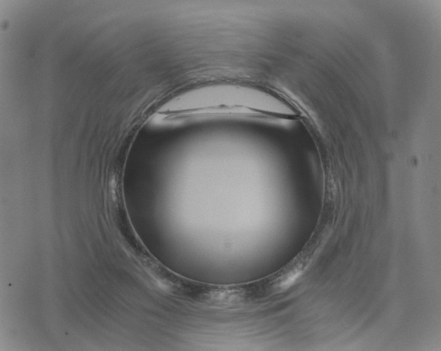 X0000073700117200608311739