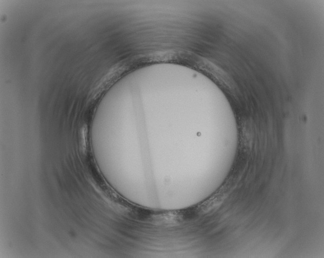 X0000073700118200608311739