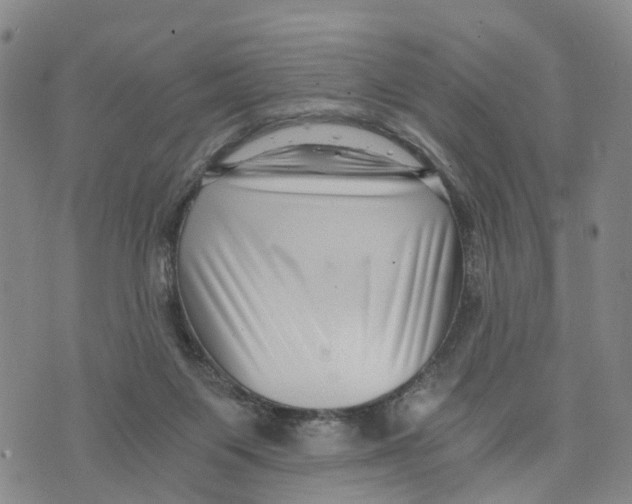 X0000073700119200608311739