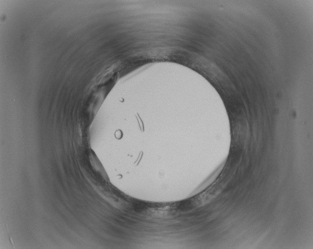 X0000073700120200608311739