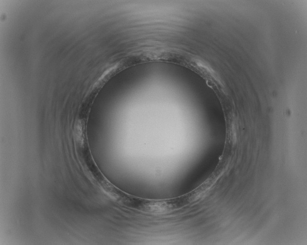 X0000073700121200608311739