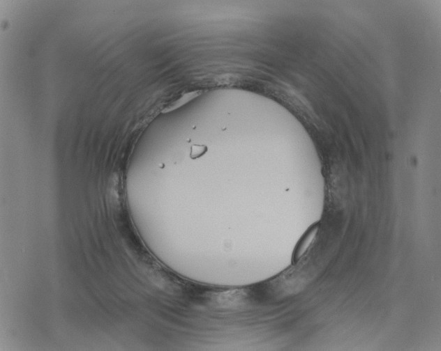 X0000073700122200608311739