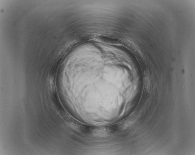 X0000073700123200608311739