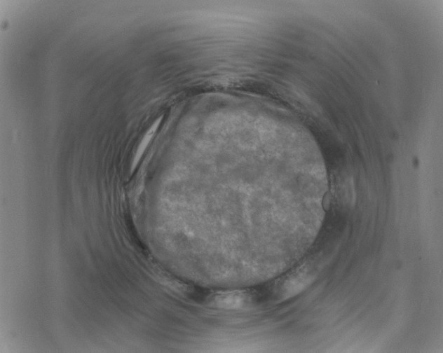 X0000073700127200608311739