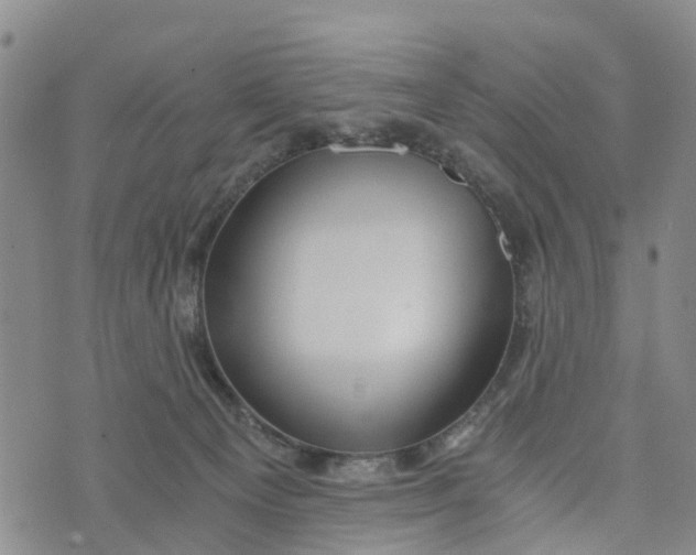 X0000073700129200608311739