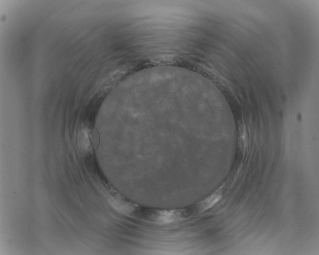 X0000073700130200608311739