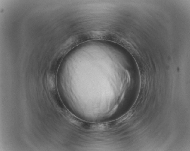 X0000073700131200608311739