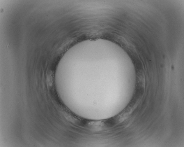 X0000073700133200608311739